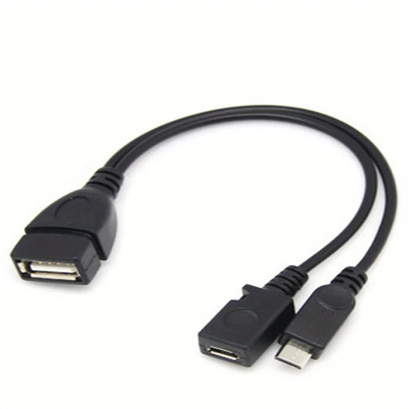 2-in-1 OTG USB auf Micro-USB-S – Fire Tablet Accessories Bewertung und Preis